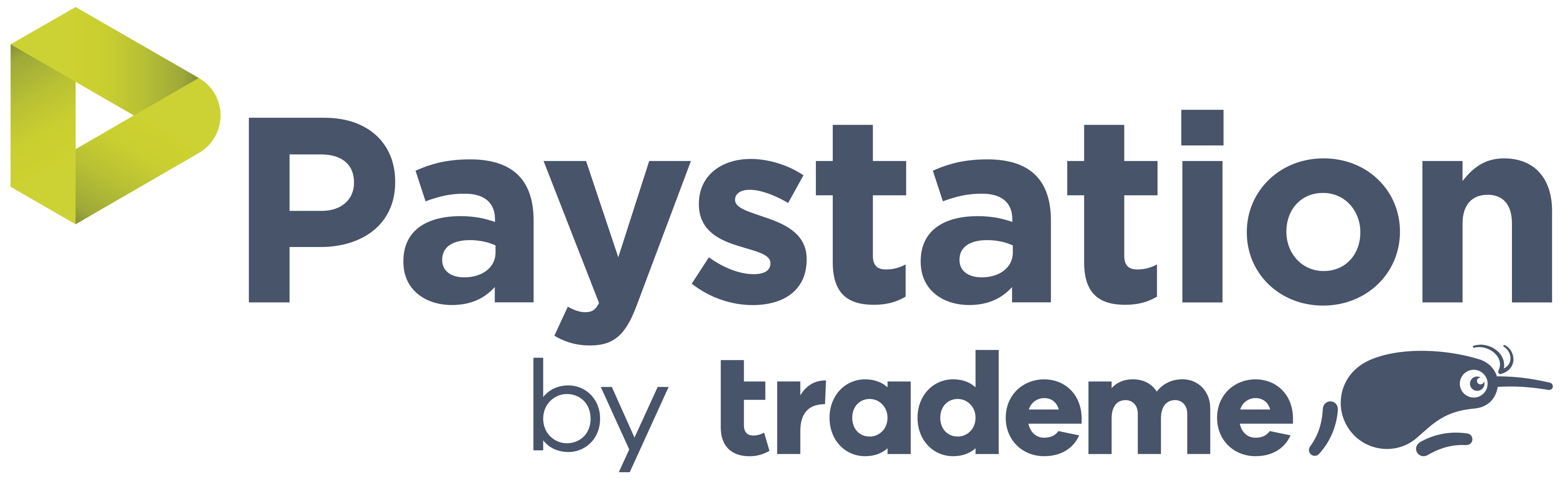 Paystation Logo